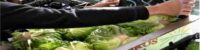kfc cabbage scandal in australia