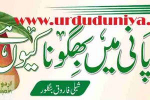 why do we soak mangoes in water