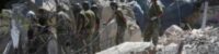 at least 21 people have been killed in russian missile strikes