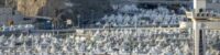 the pilgrims left for mina to spend the day of hajj