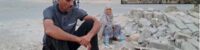 earthquakes rocked iran kills five
