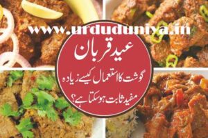 how can the use of eid ul adha meat be more useful