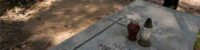 mass graves of 8000 people killed by nazis discovered in poland