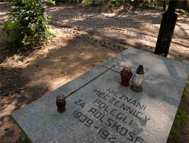 mass graves of 8000 people killed by nazis discovered in poland