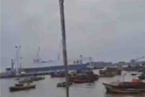 oarfish-caught-in-chile-a-16-foot-long-fish-that-heralds-earthquakes-and-storms