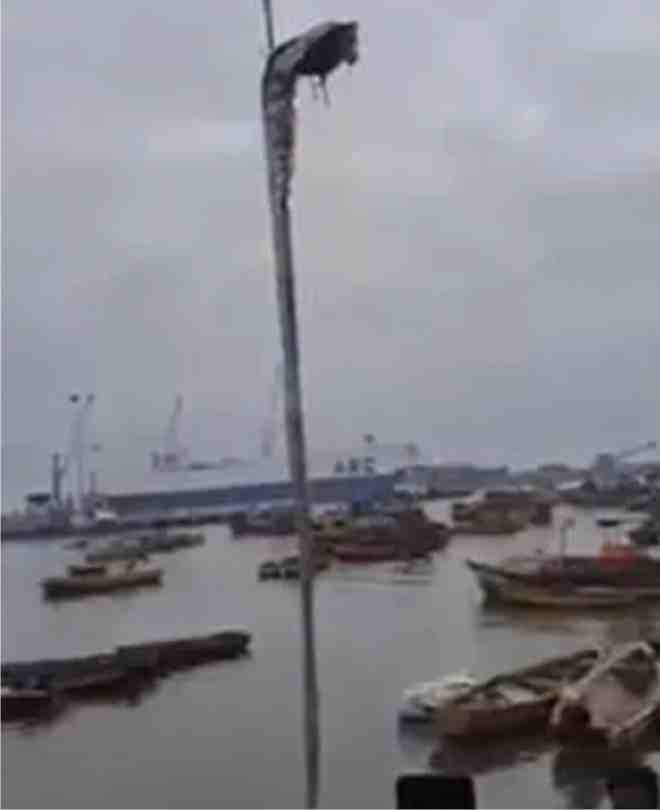 oarfish-caught-in-chile-a-16-foot-long-fish-that-heralds-earthquakes-and-storms