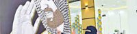 painting of saudi crown prince mohammed bin salman made with bees