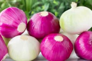 benefits of eating onions