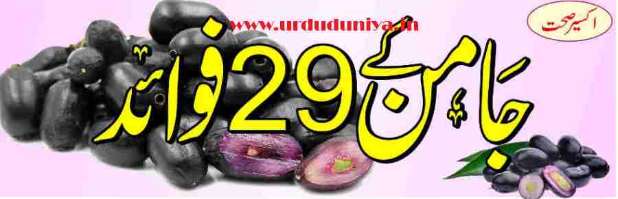 Jamun Fruit