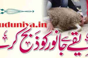 Islamic method of slaughter,