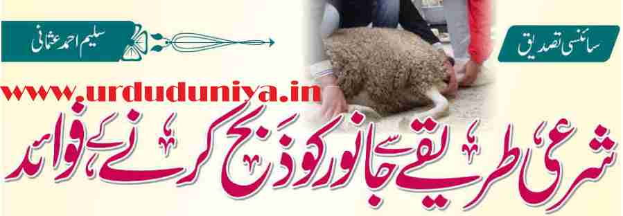 Islamic method of slaughter,