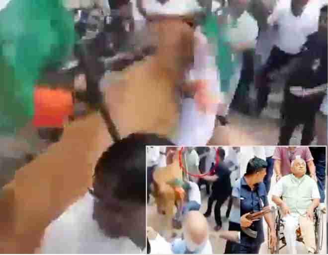 har ghar tiranga rally former deputy chief minister nitin patel attacked by cow