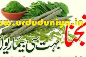 moringa leaves benefits