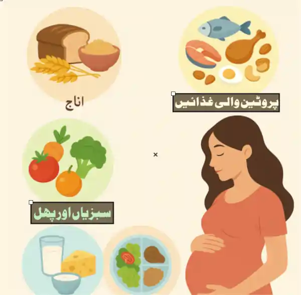 pregnancy diet tips urduduniyanews