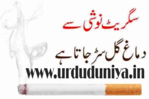 Smoking rots the brain