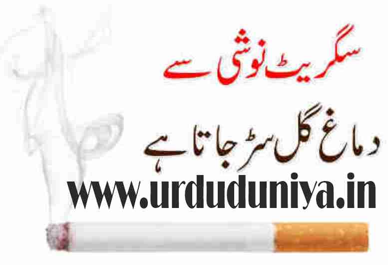 Smoking rots the brain