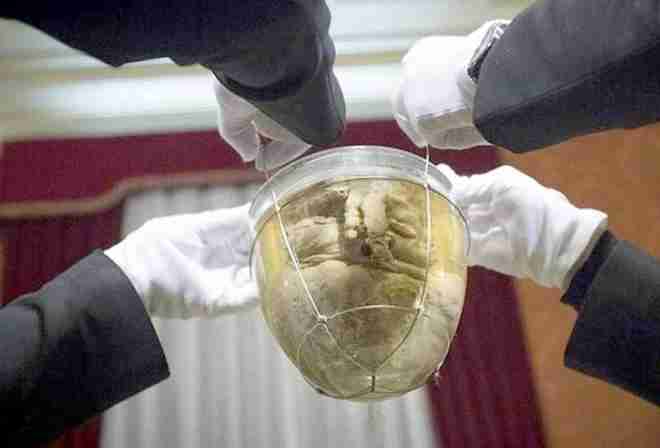 brazilian independence day