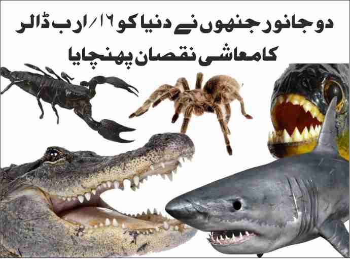 two animals that caused economic damage of 16 billion dollars to the world