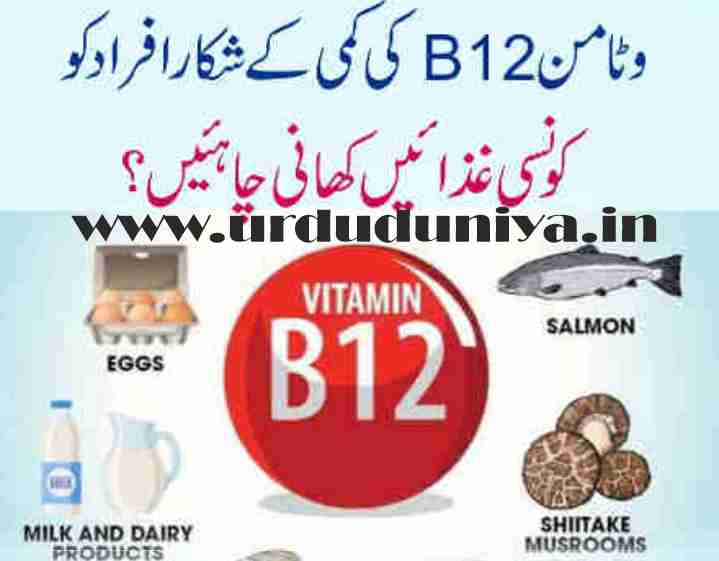 vitamin b12 foods