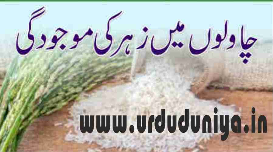 arsenic in rice