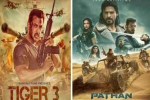 close connection between tiger and pathan