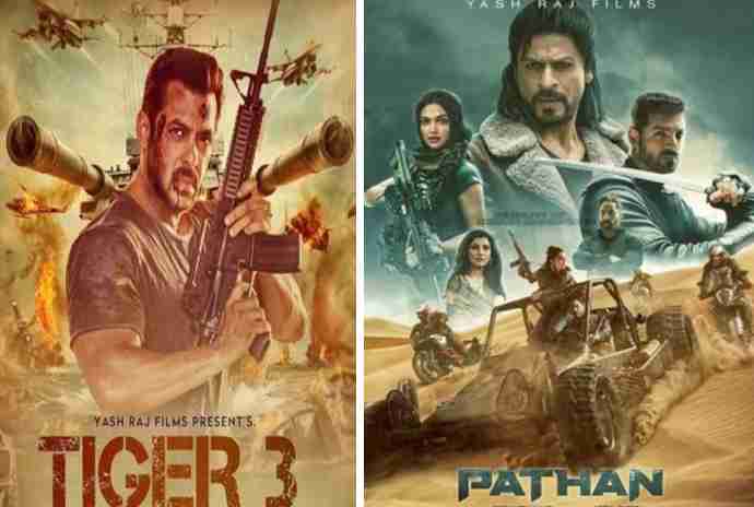 close connection between tiger and pathan