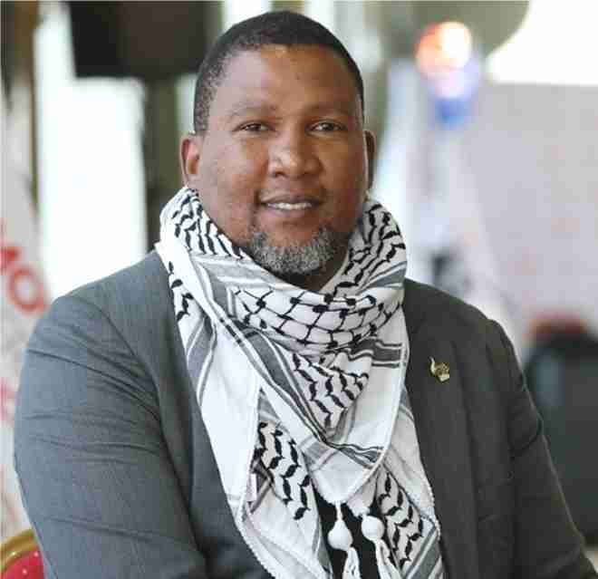 mandla mandela