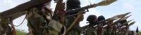 somali government forces killed 100 al shabab fighters