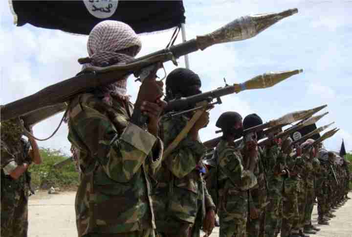 somali government forces killed 100 al shabab fighters