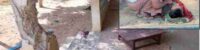 army air strike on school in myanmar 11 children killed
