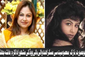 ayesha jhulka is a famous bollywood actress with beautiful delicate innocent smile