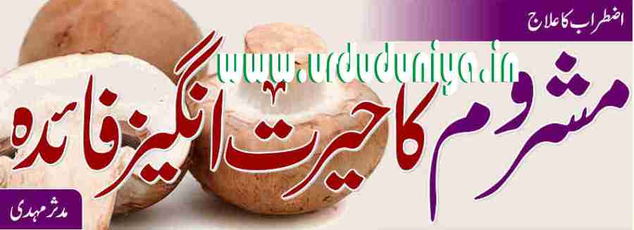 benefits of mushrooms