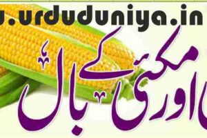 corn