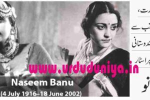 first female superstar naseem banu