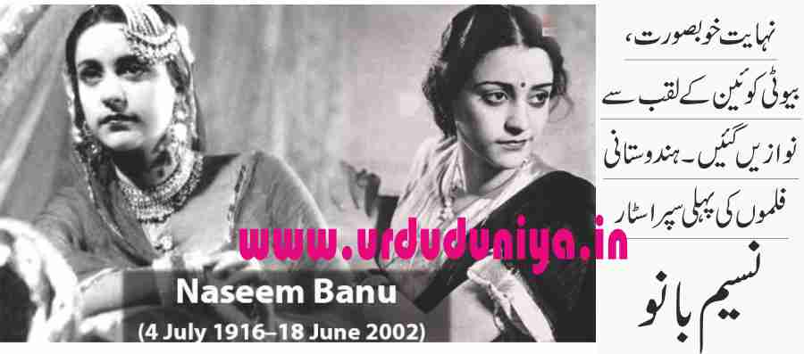 first female superstar naseem banu
