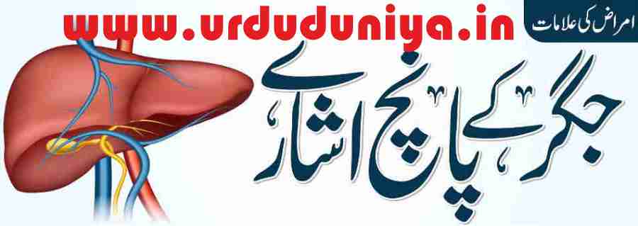 symptoms of liver disease