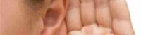 world adults suffer from tinnitus