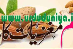 dry fruits almonds