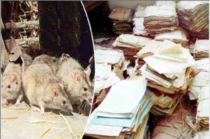 endowment properties worth crores of rupees are at risk, documents are being destroyed by rats