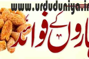 benefits of dry dates