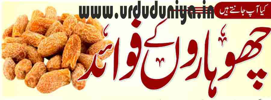 benefits of dry dates