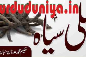 black musli benefits