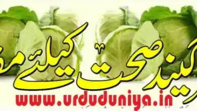 cabbage health benefits