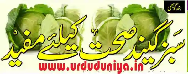 cabbage health benefits