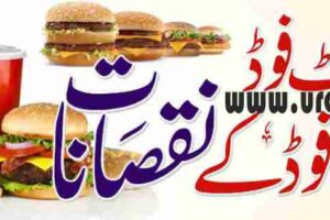 disadvantages of fast food or junk food