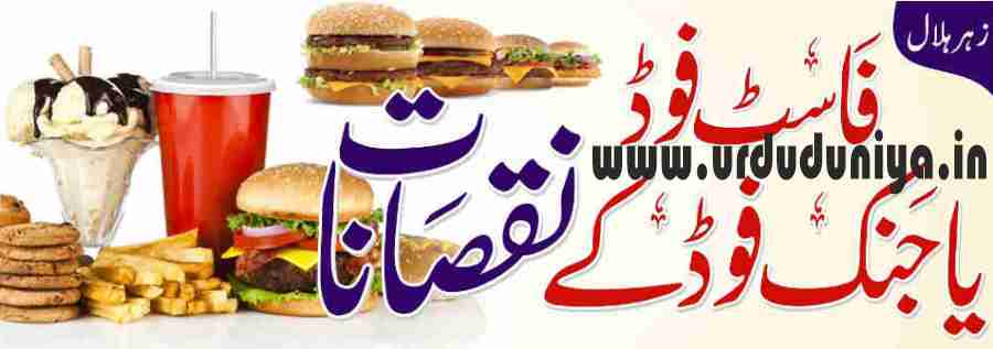 disadvantages of fast food or junk food