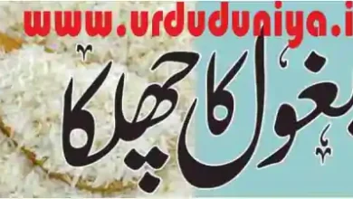 ispaghol husk benefits