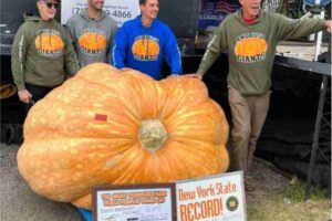 largest pumpkin in alaska