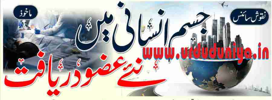 new-organs-discovered-in-the-human-body