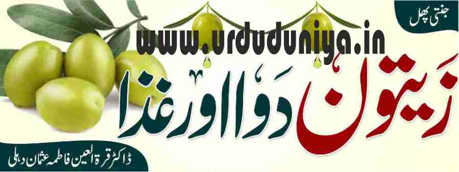 olive fruit benefits